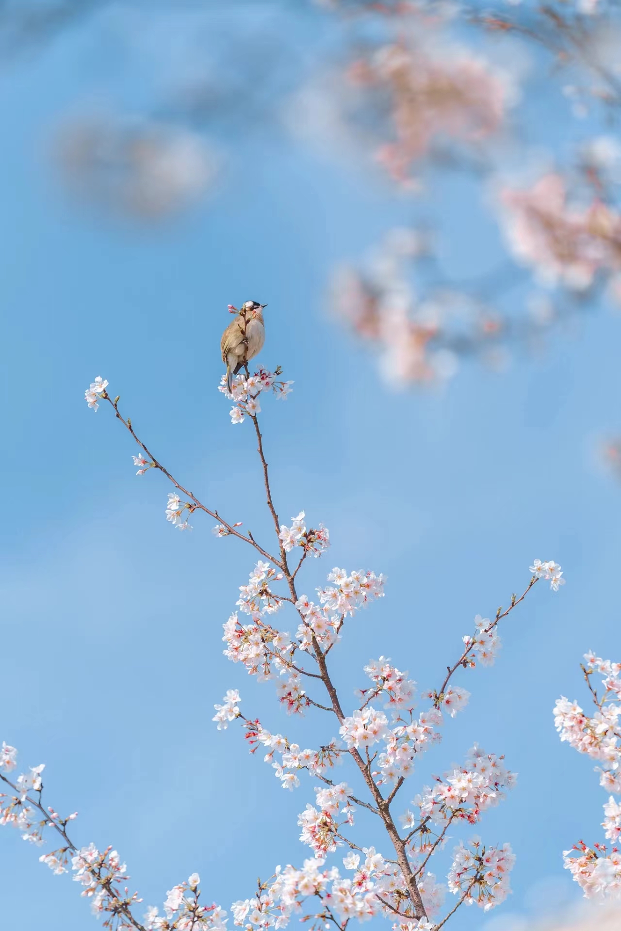 提前十分鐘，人生大不同